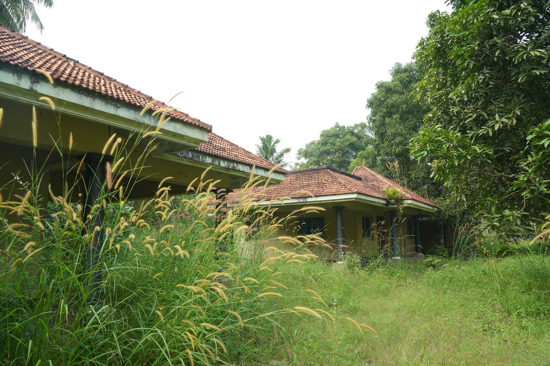 Property Photos 18