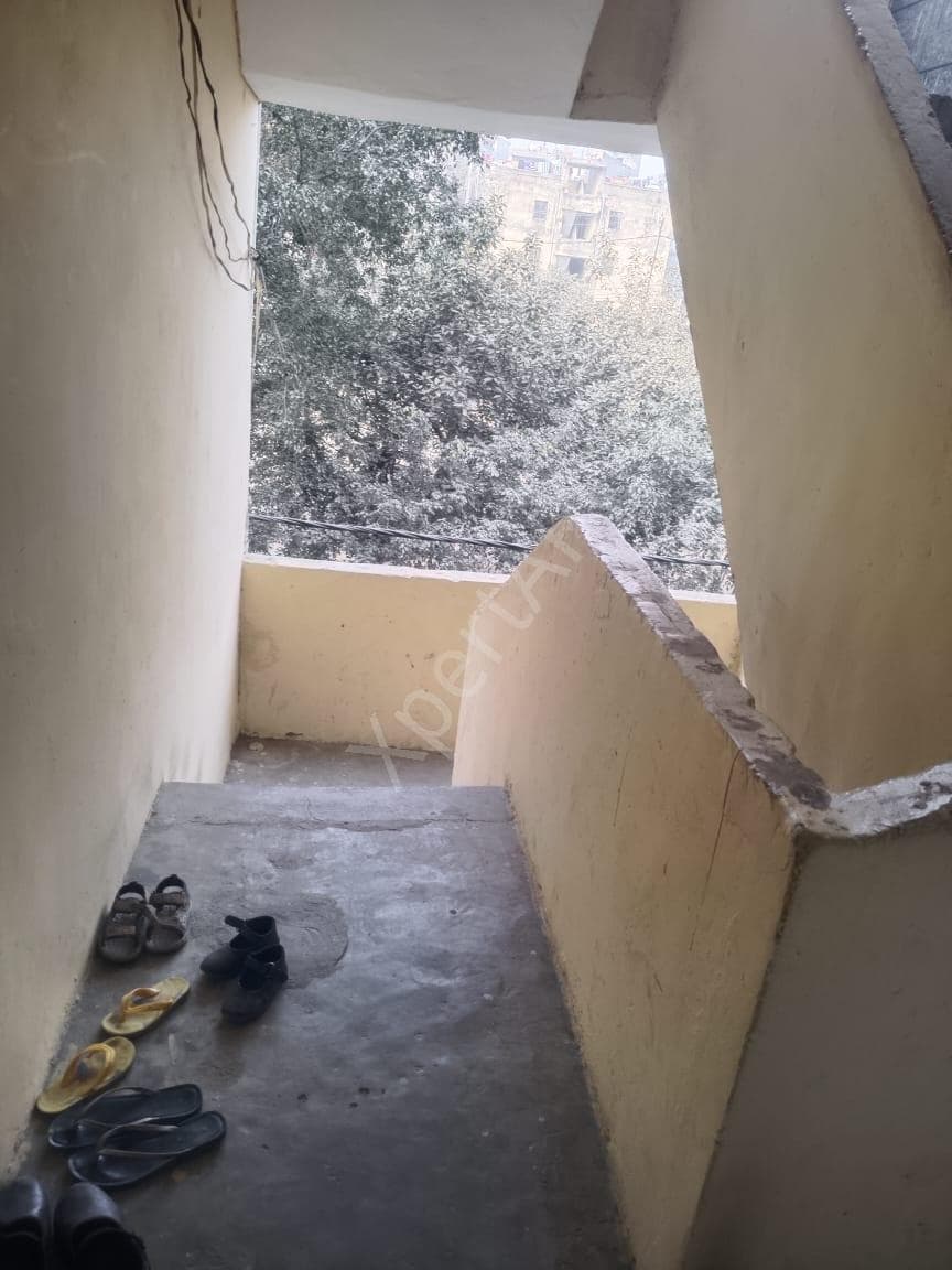 Property Photos 9