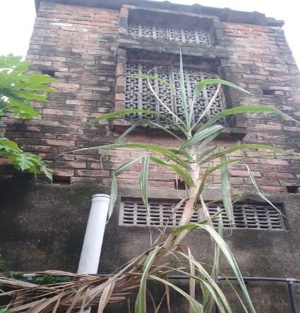 Property Photos 6