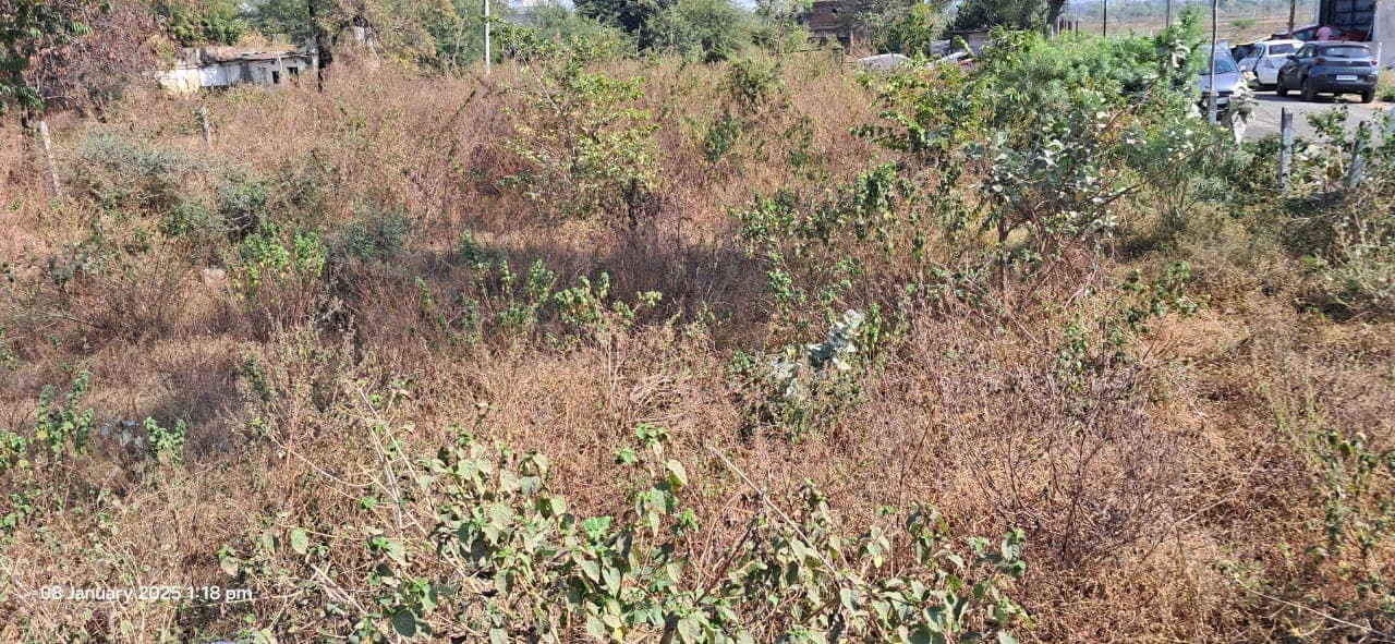 Property Photos 5