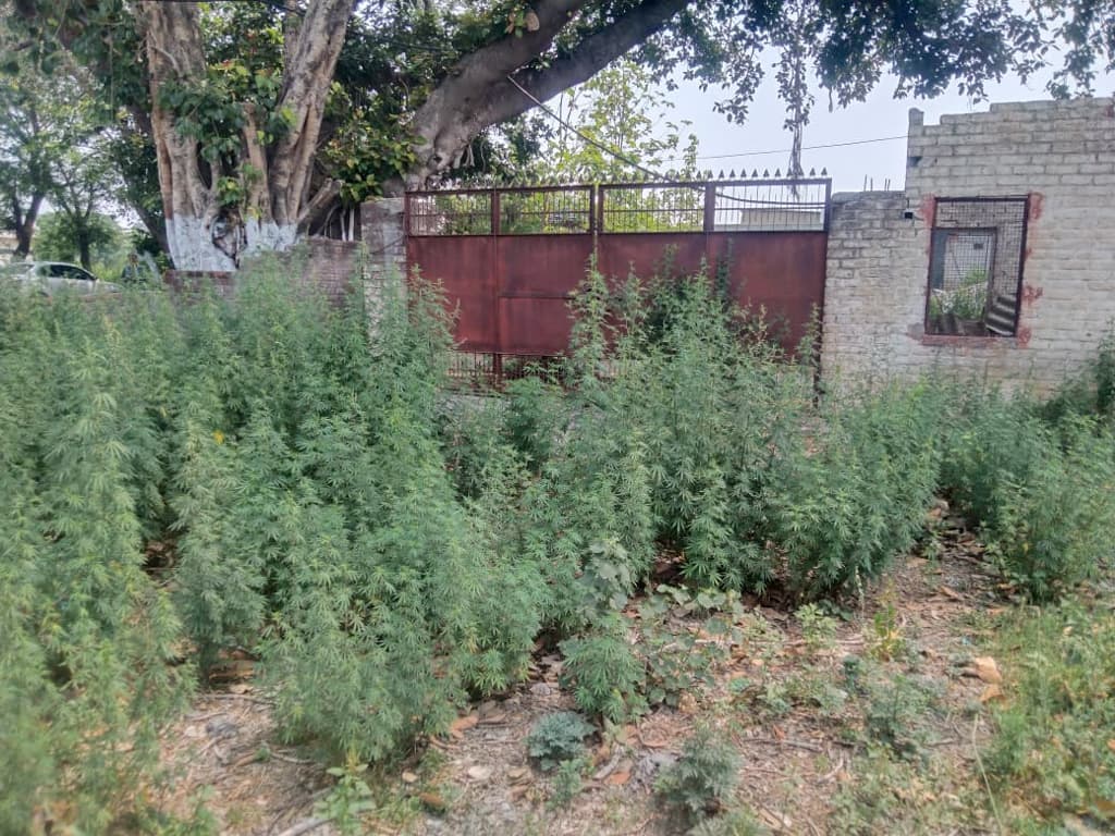 Property Photos 3