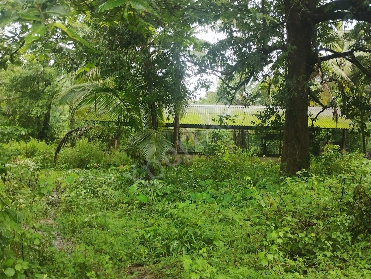 Property Photos 4