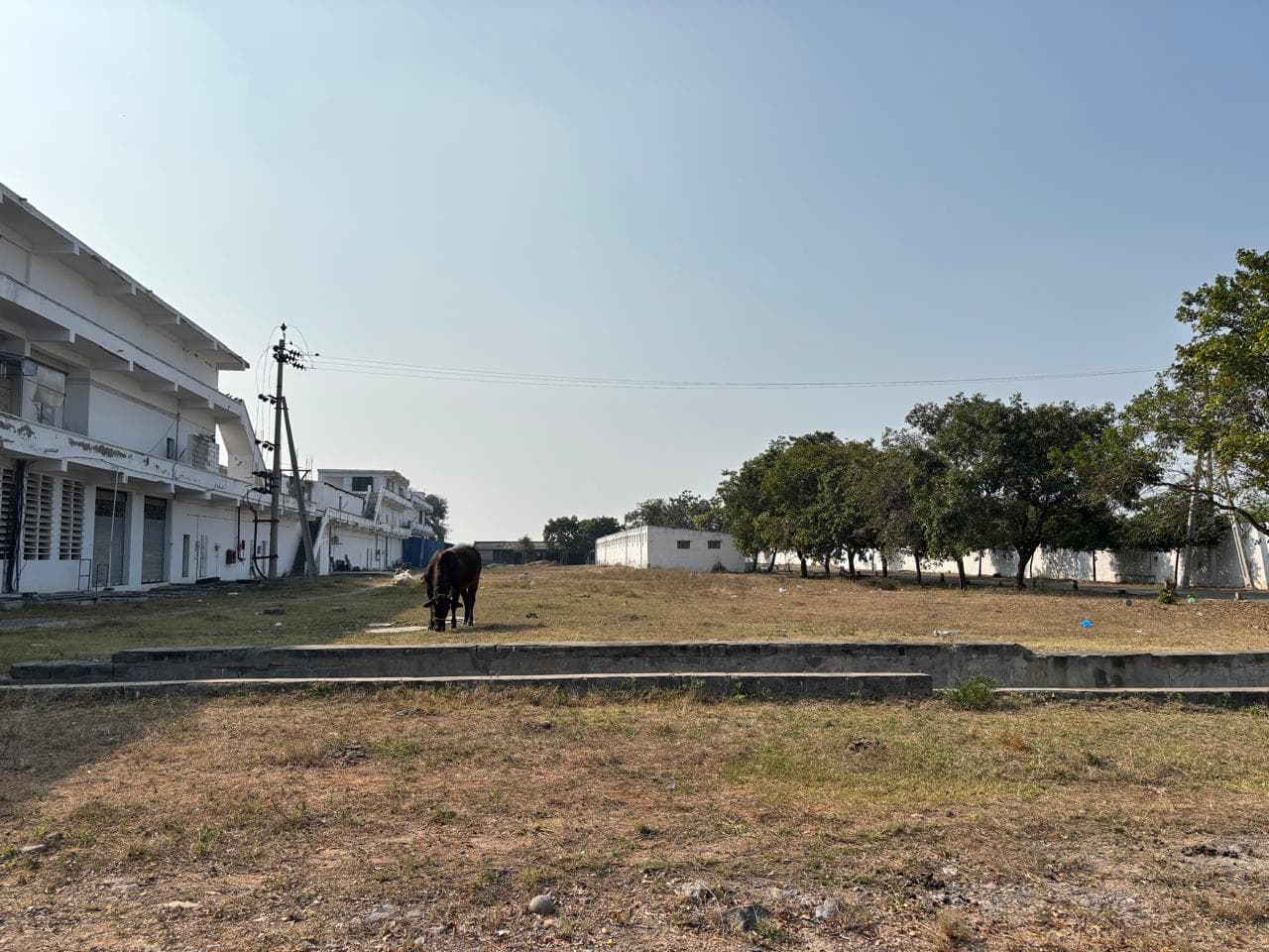 Property Photos 18