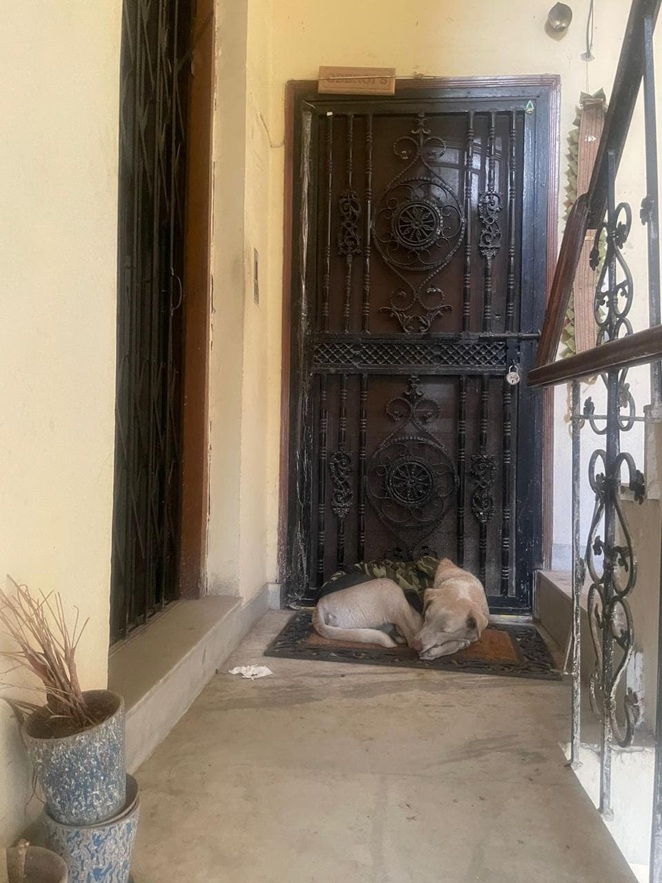 Property Photos 2