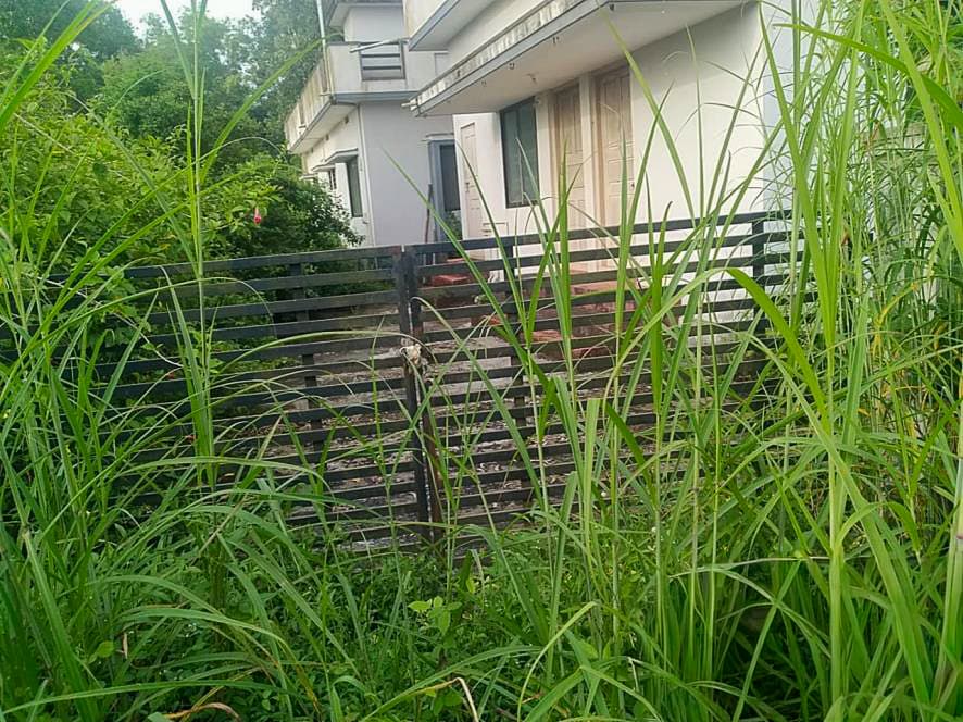 Property Photos 2