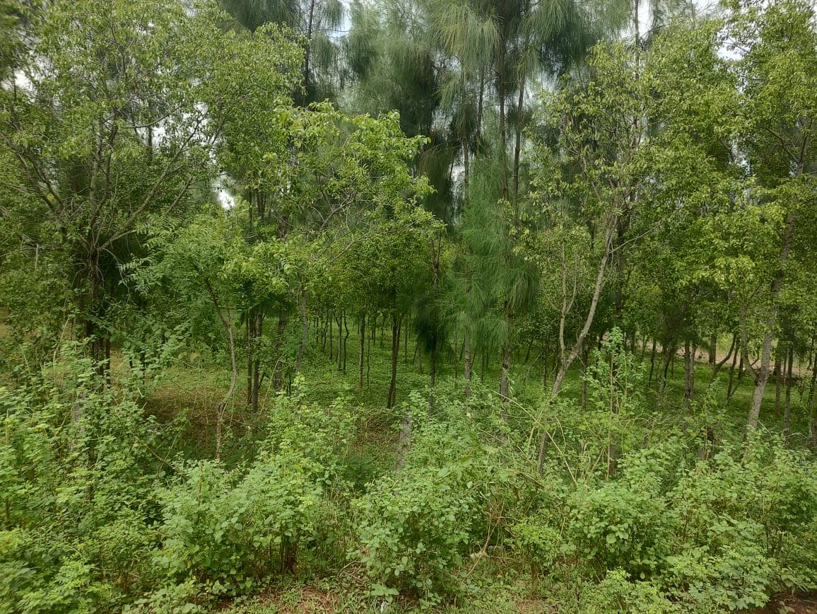Property Photos 4