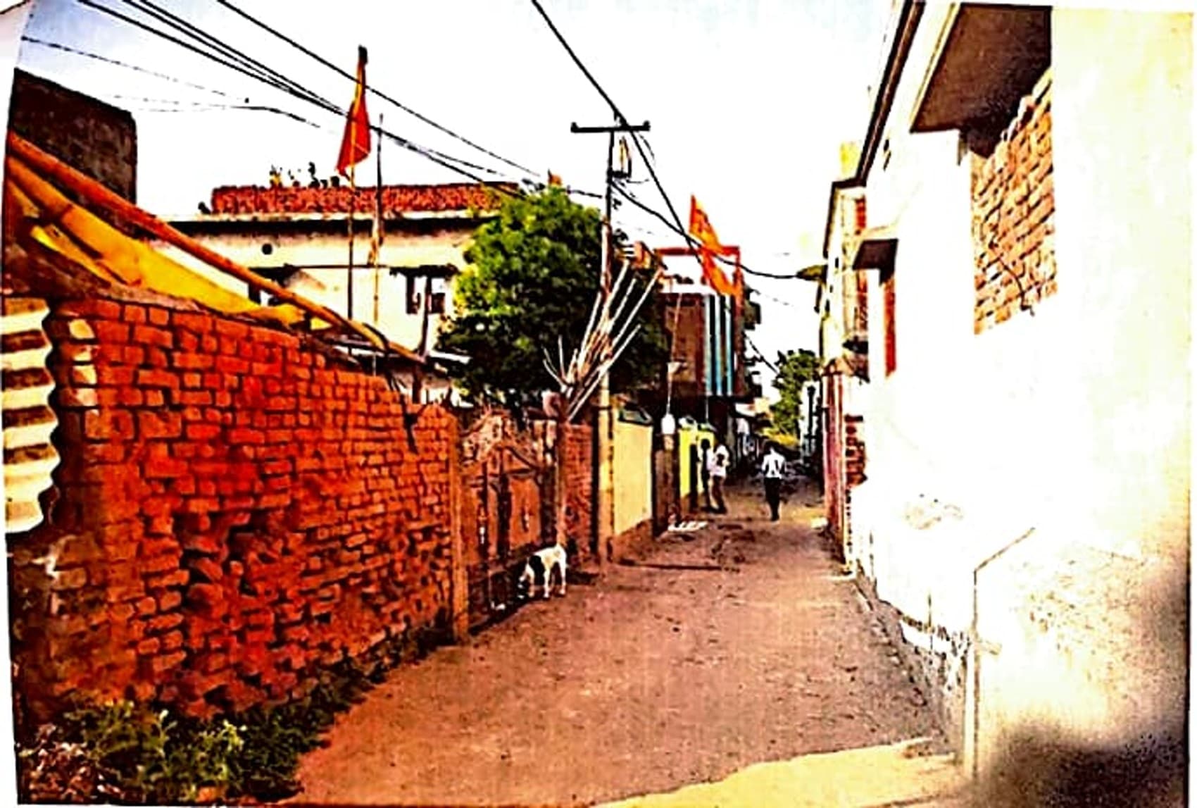 Property Photos 4