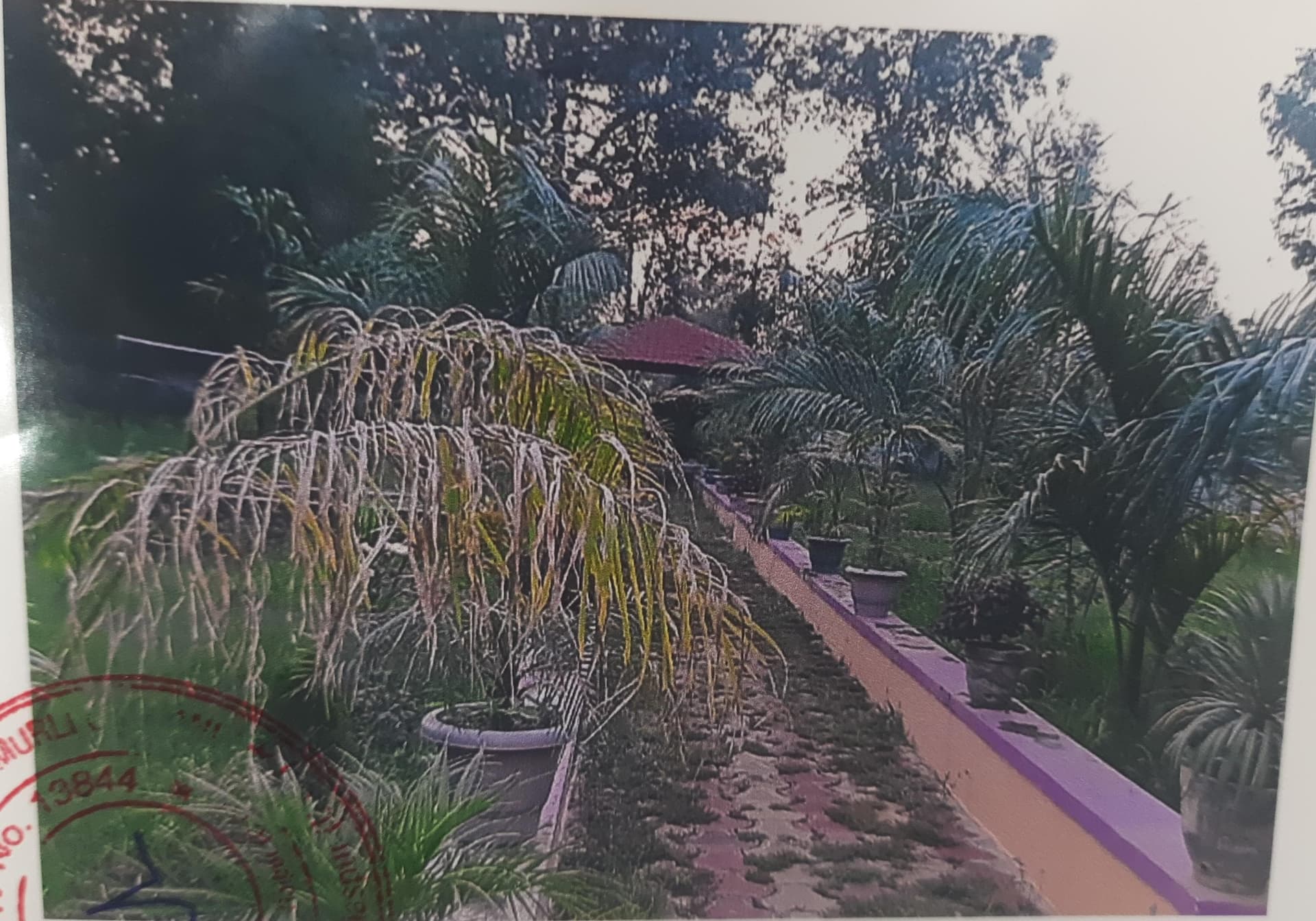 Property Photos 2