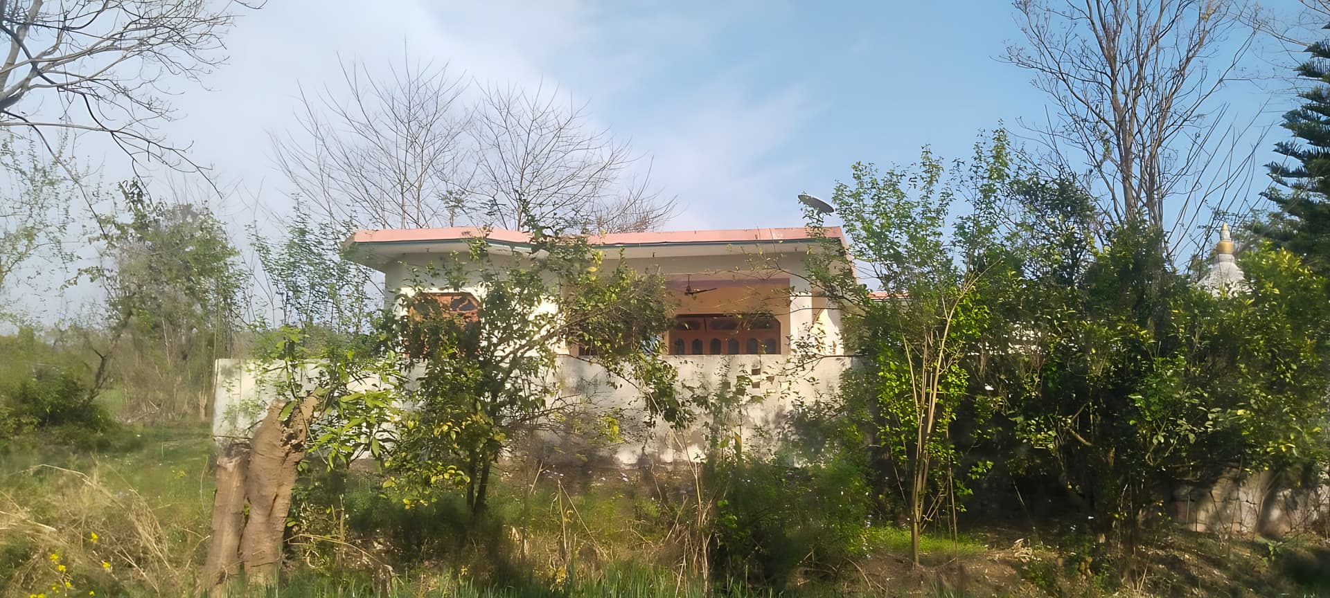 Property Photos 3