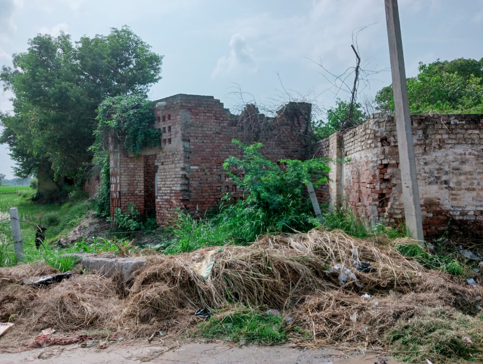 Property Photos 29