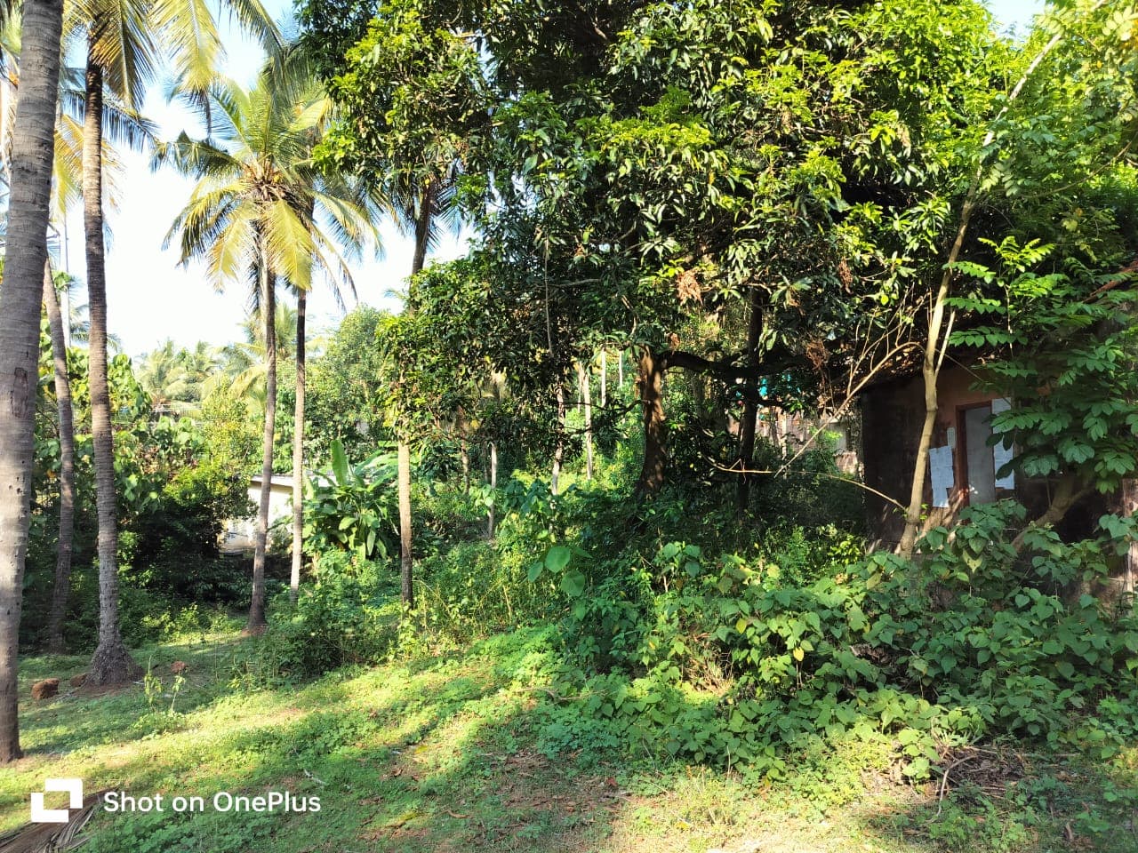 Property Photos 8