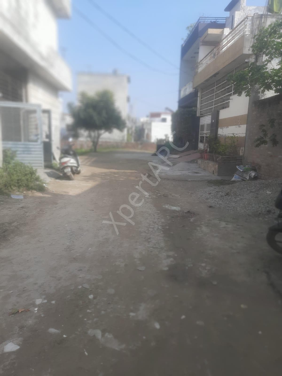 Property Photos 2
