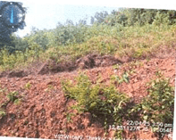 Property Photos 29