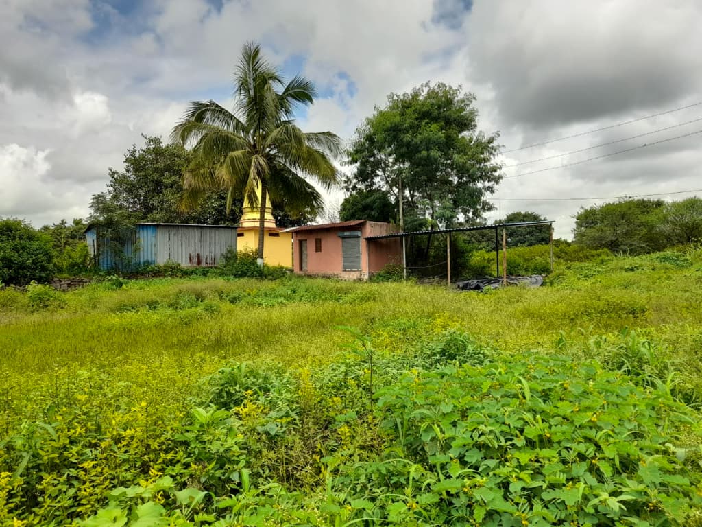 Property Photos 22