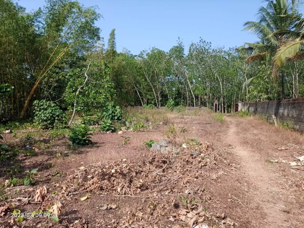Property Photos 3