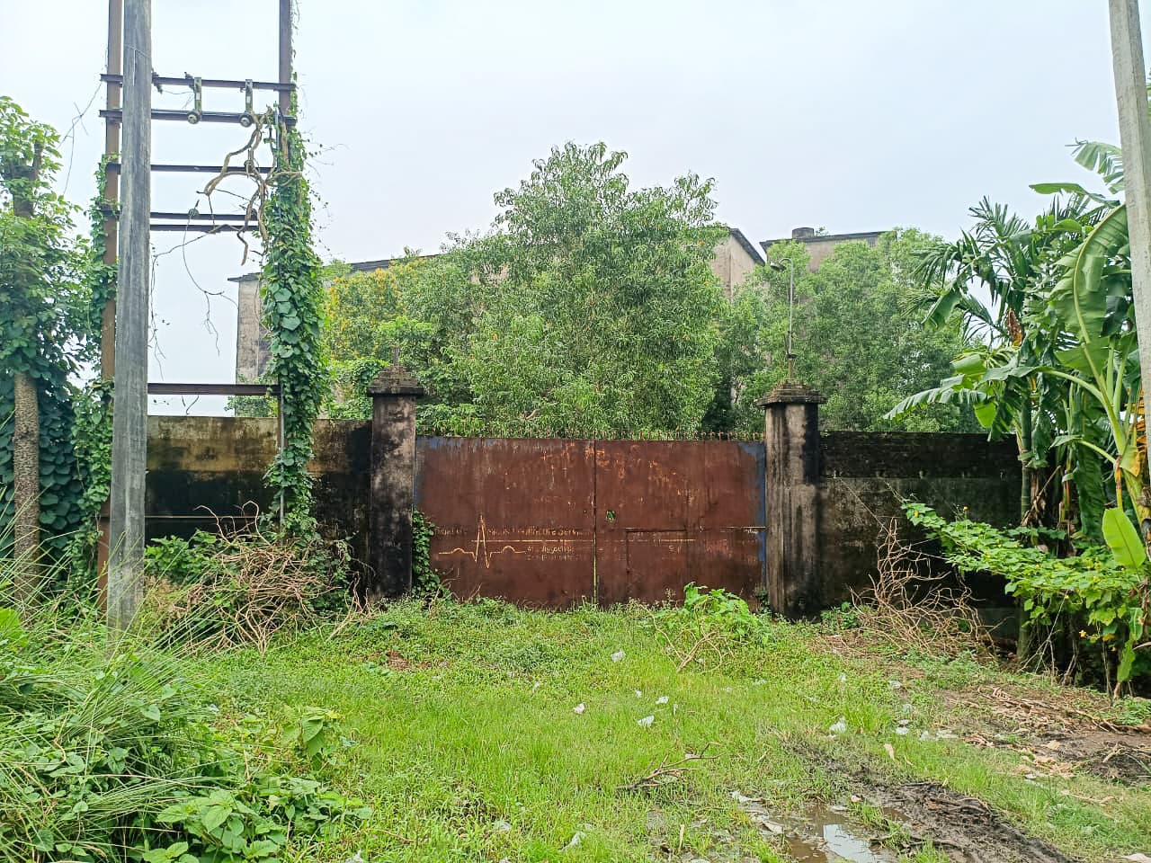 Property Photos 6