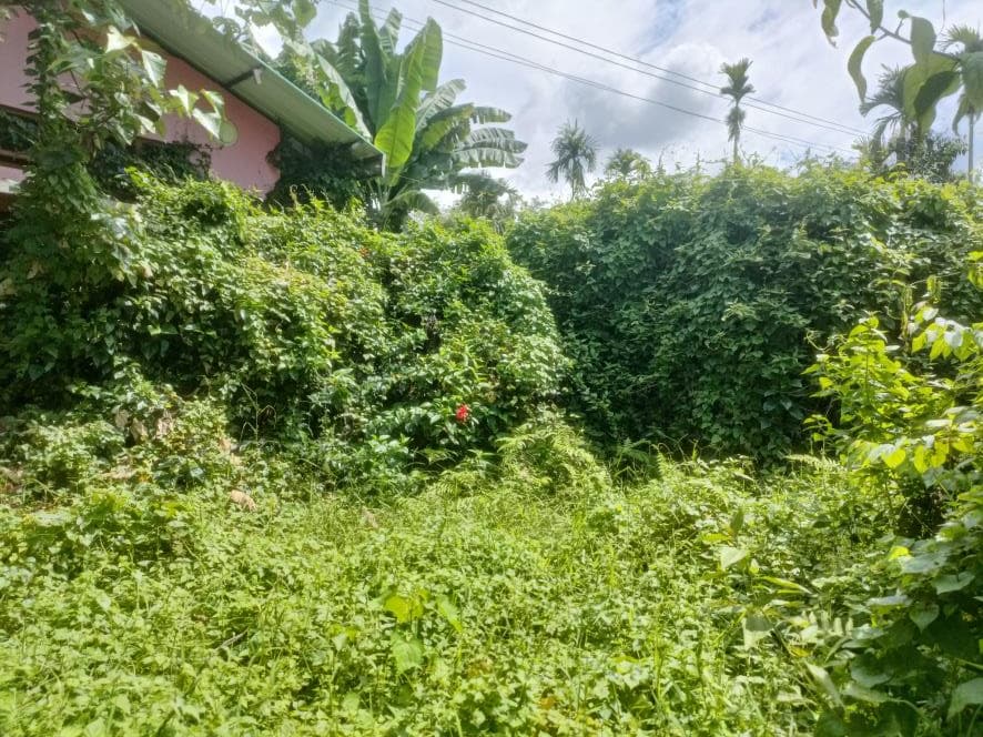 Property Photos 8