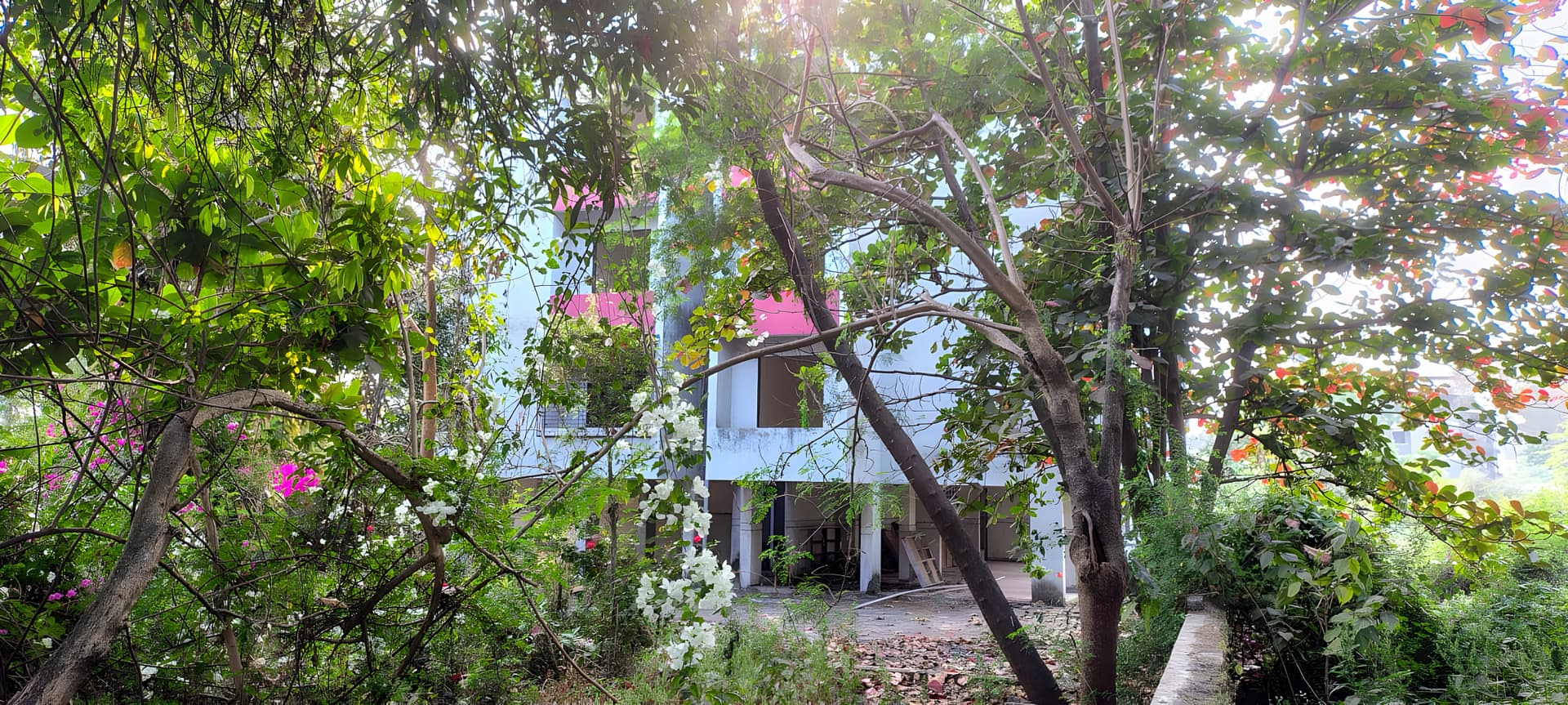 Property Photos 9