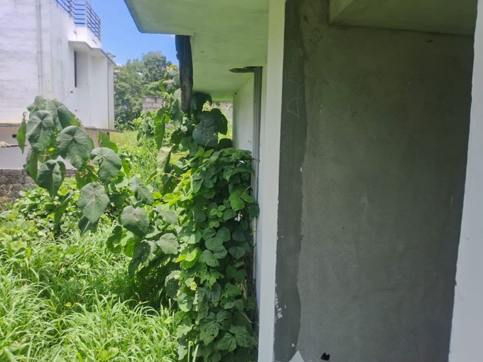 Property Photos 28