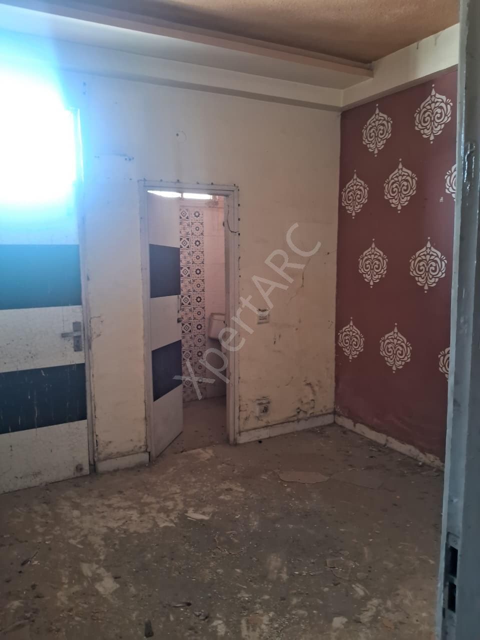 Property Photos 24