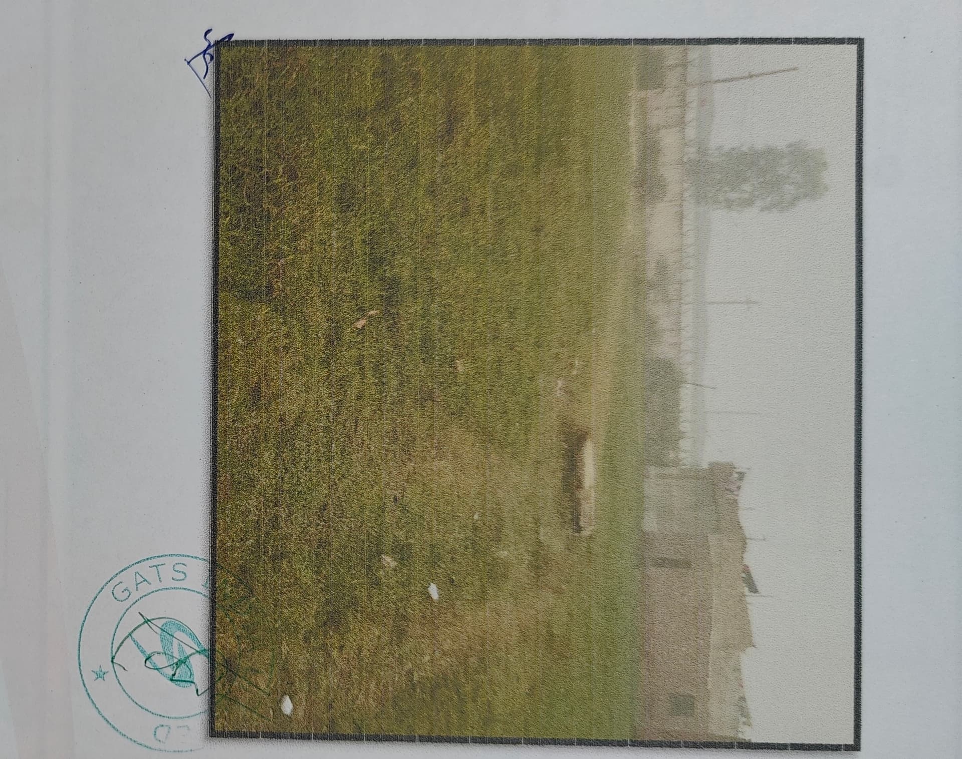 Property Photos 6