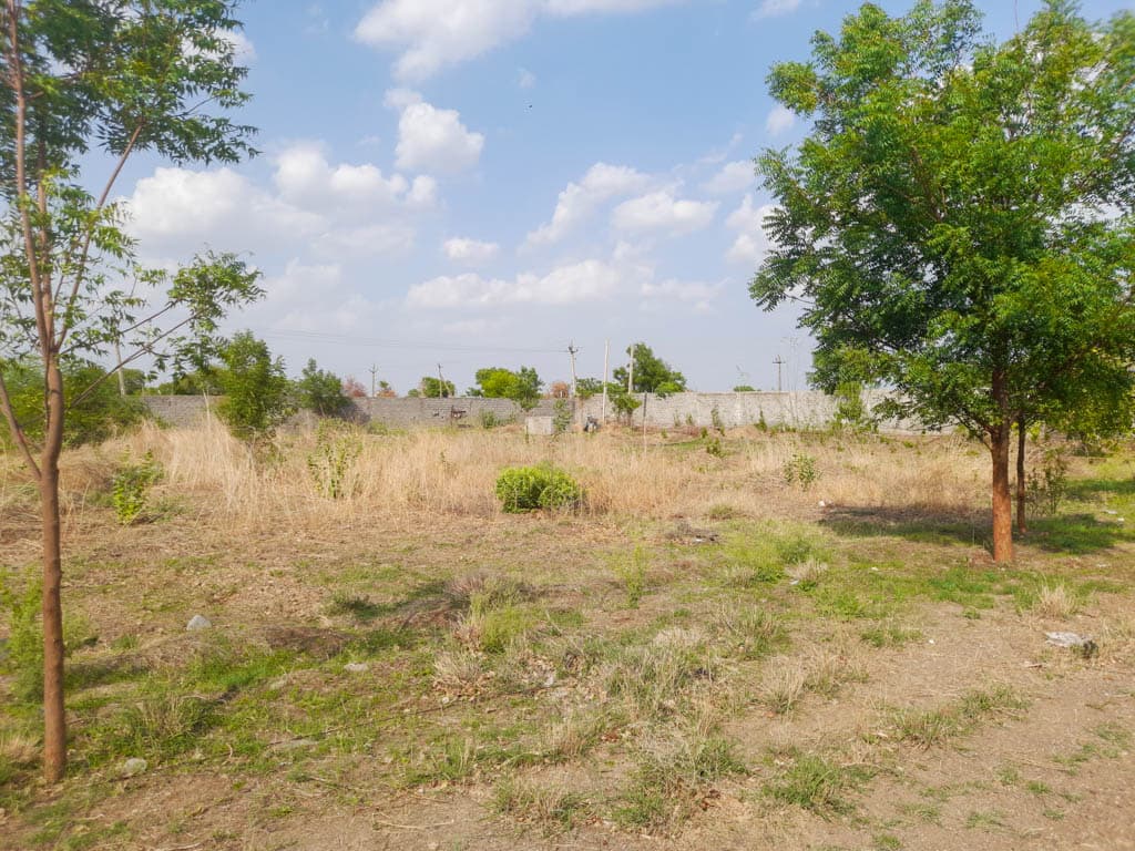 Property Photos 4