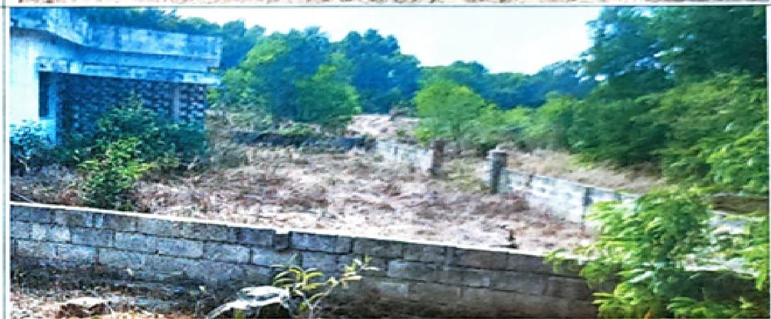 Property Photos 6