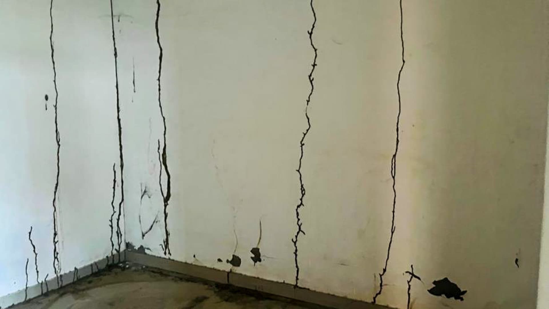 Property Photos 25