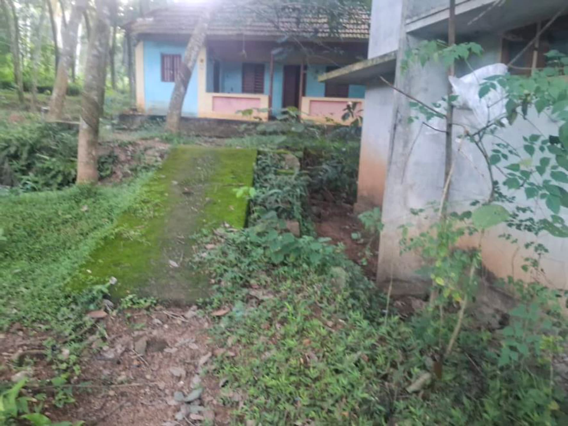 Property Photos 8