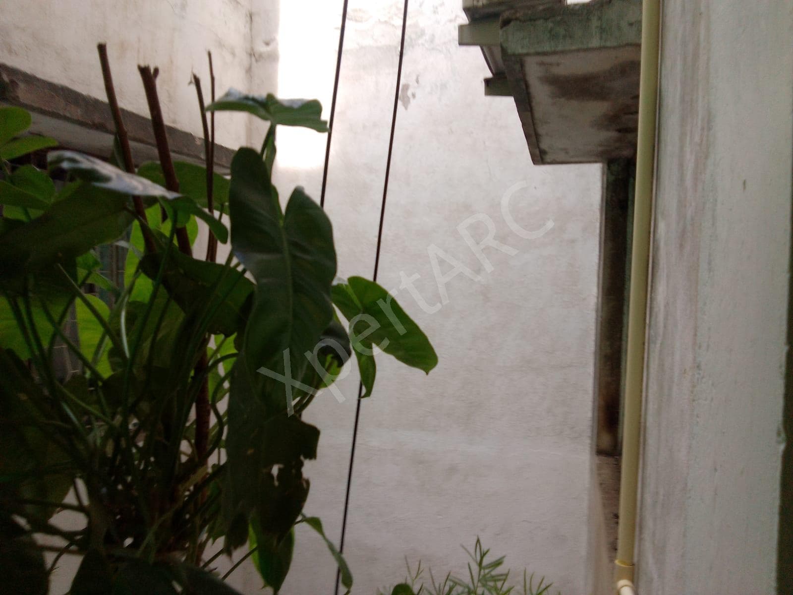 Property Photos 3