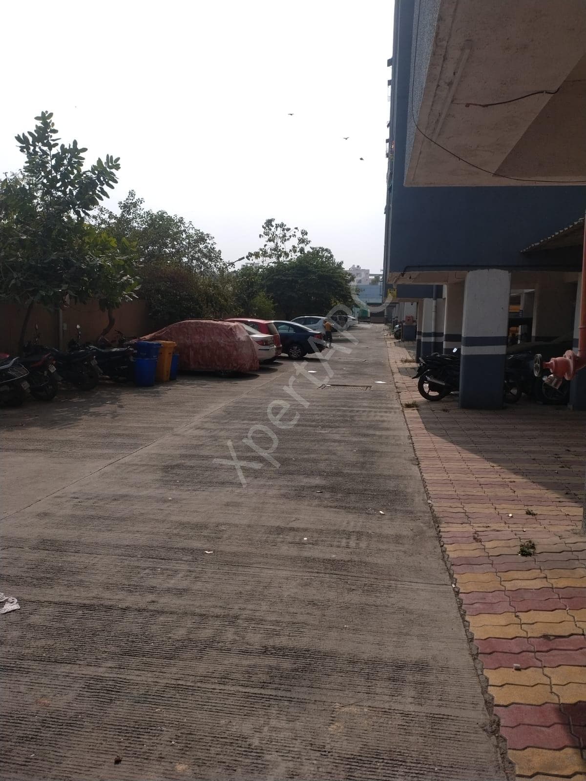 Property Photos 9