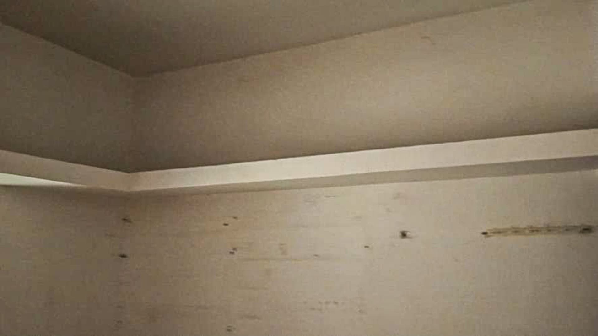 Property Photos 23