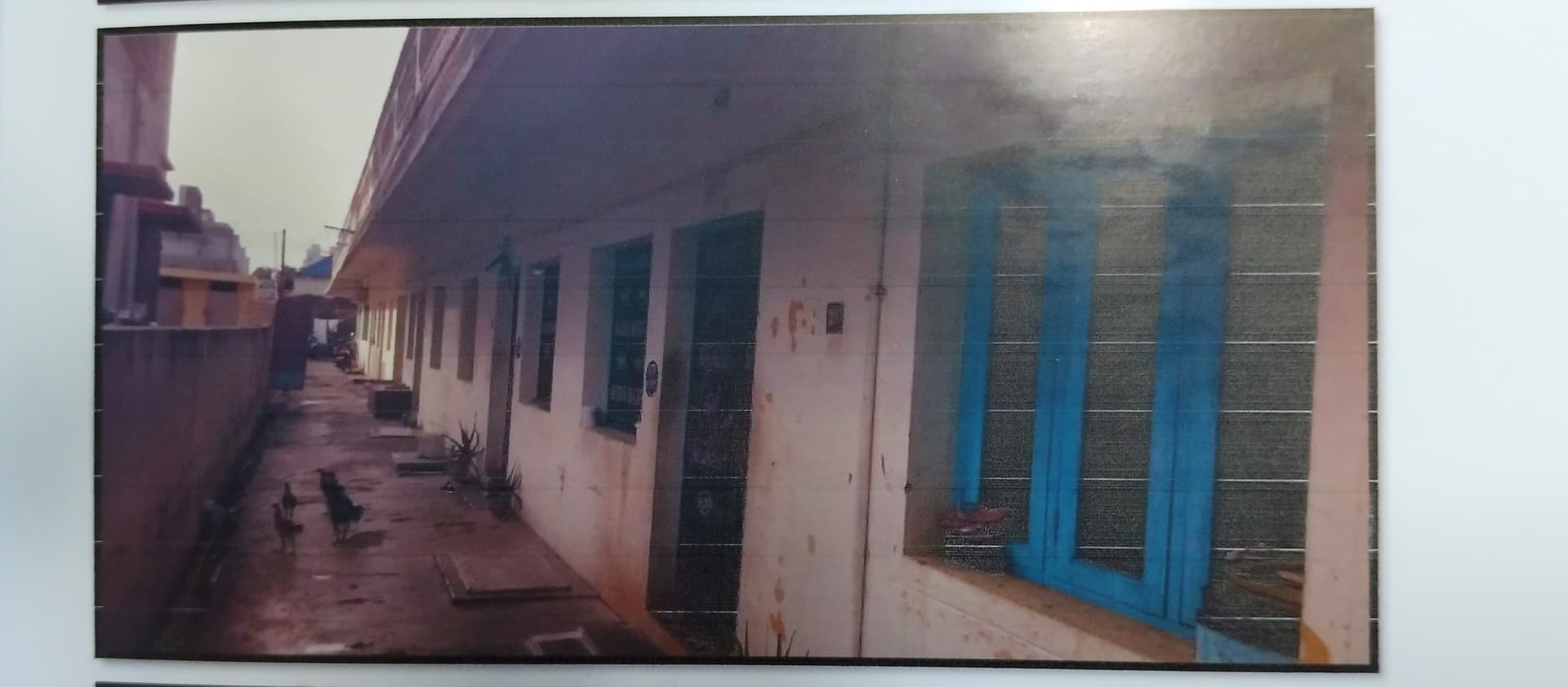 Property Photos 2