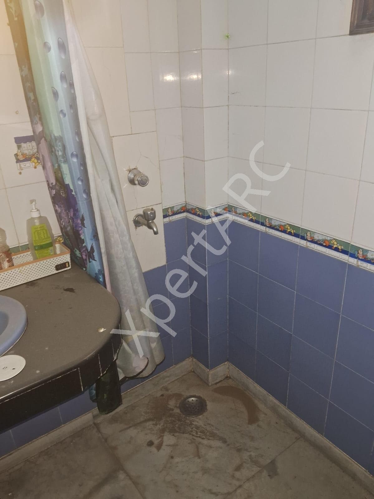 Property Photos 45