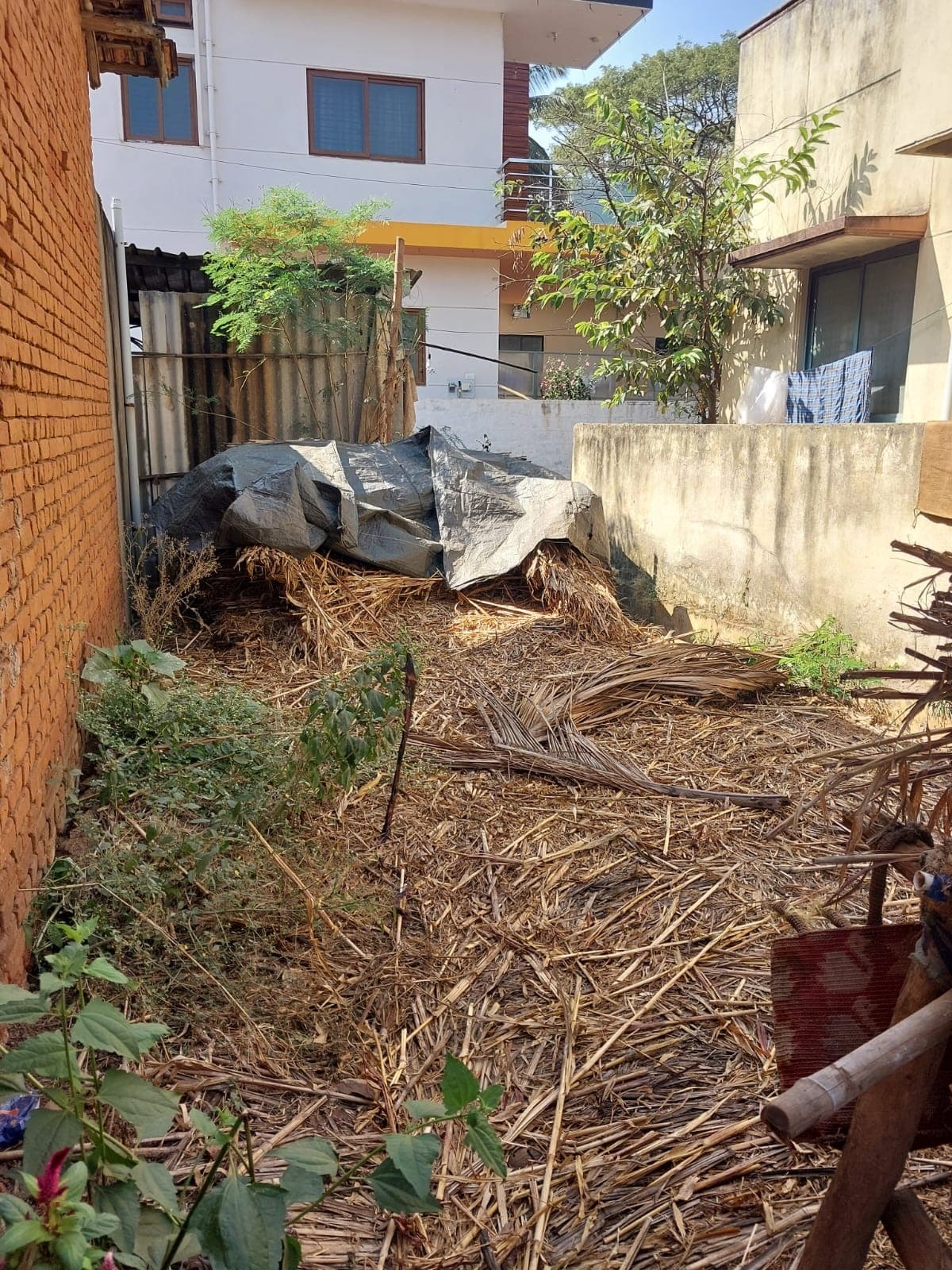 Property Photos 2
