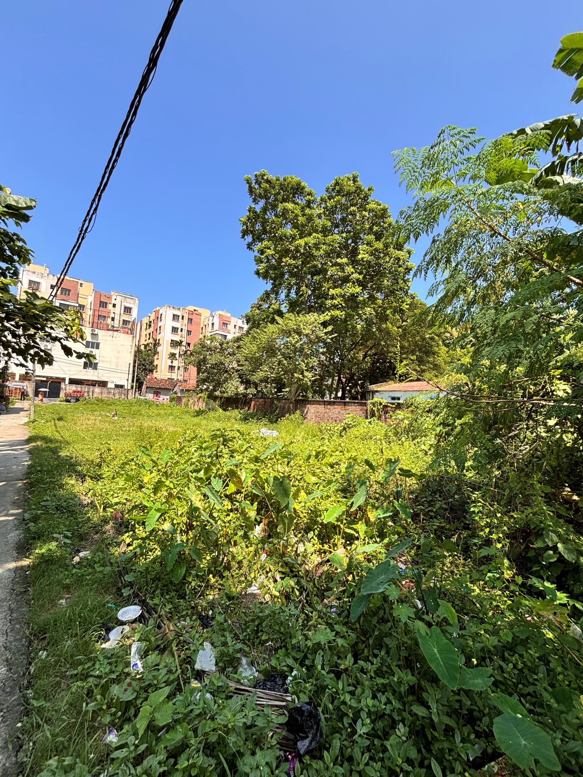 Property Photos 4
