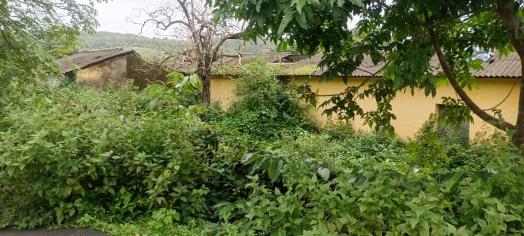 Property Photos 27