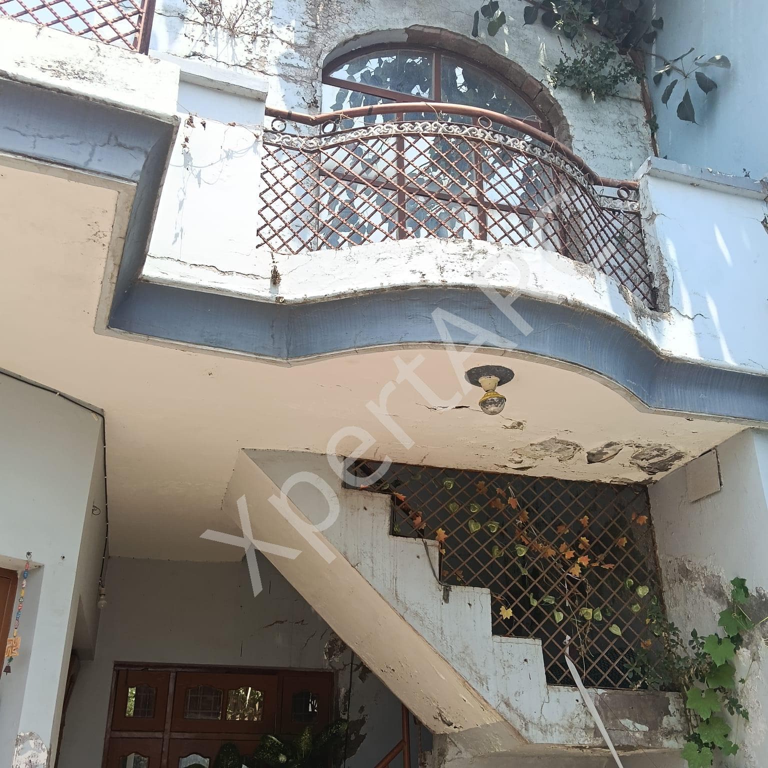 Property Photos 10
