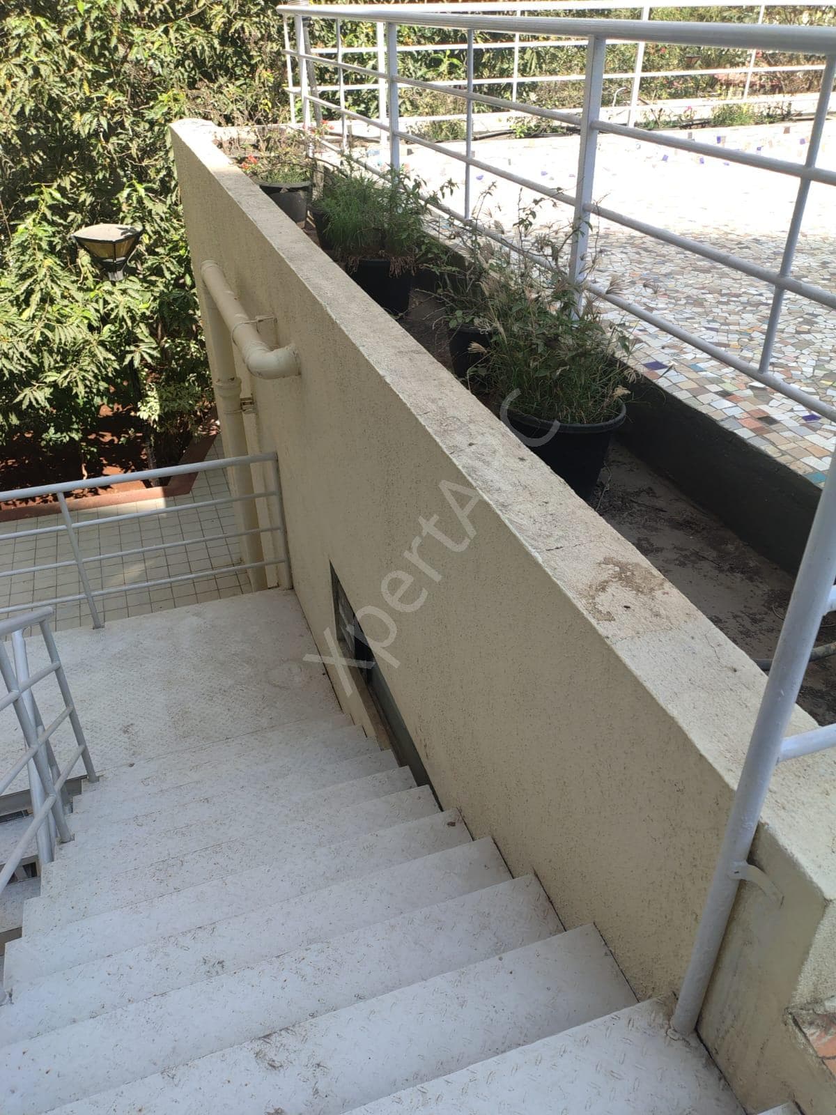Property Photos 21