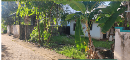Property Photos 2