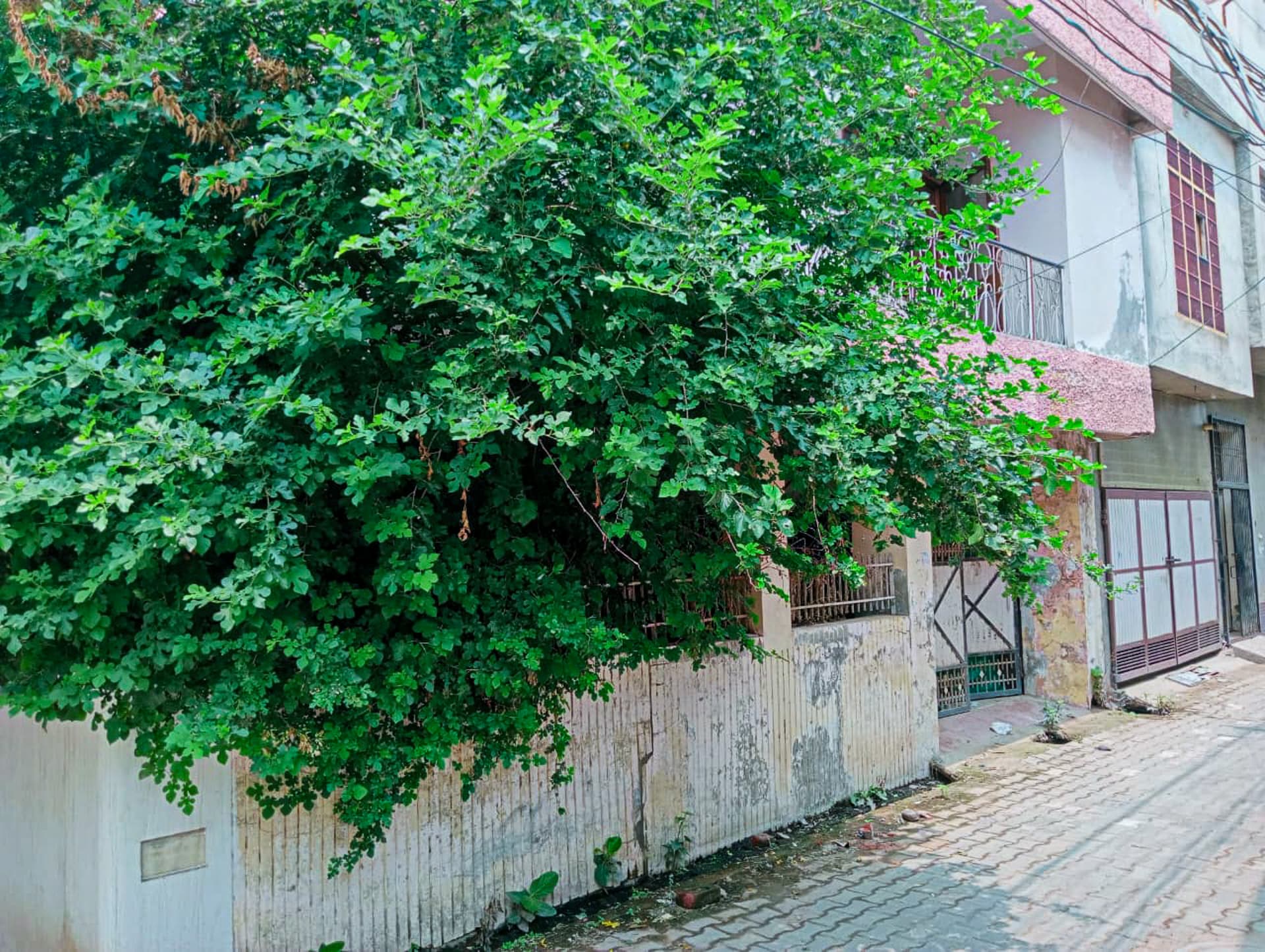 Property Photos 26