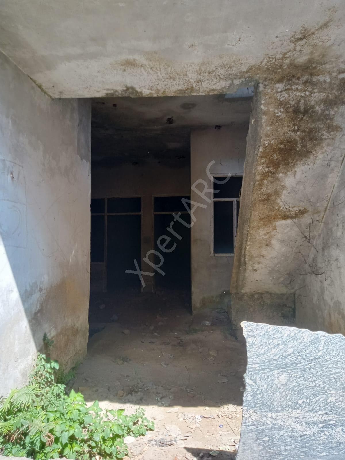 Property Photos 6