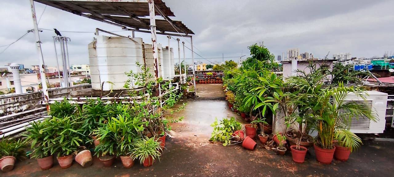 Property Photos 10