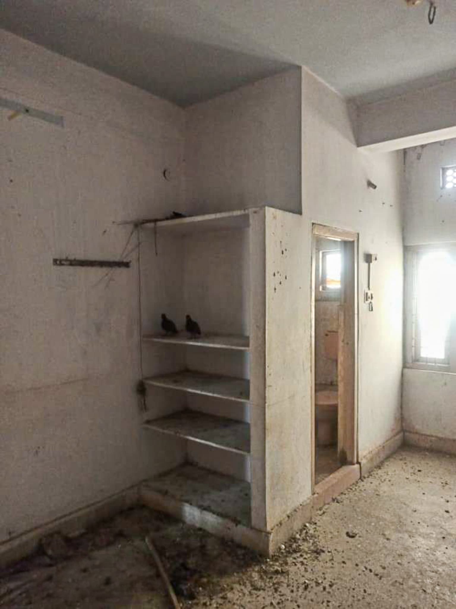 Property Photos 7