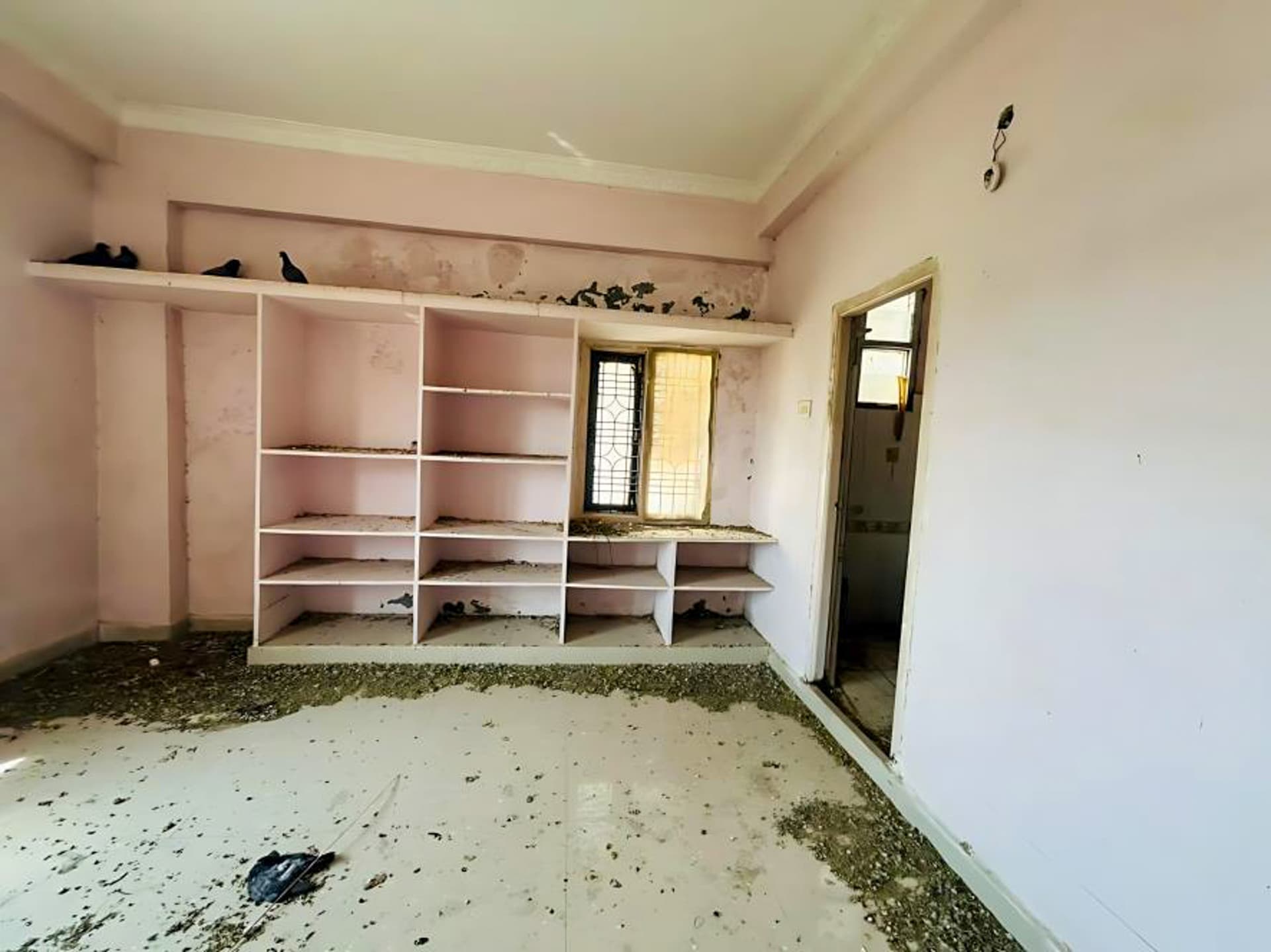 Property Photos 6