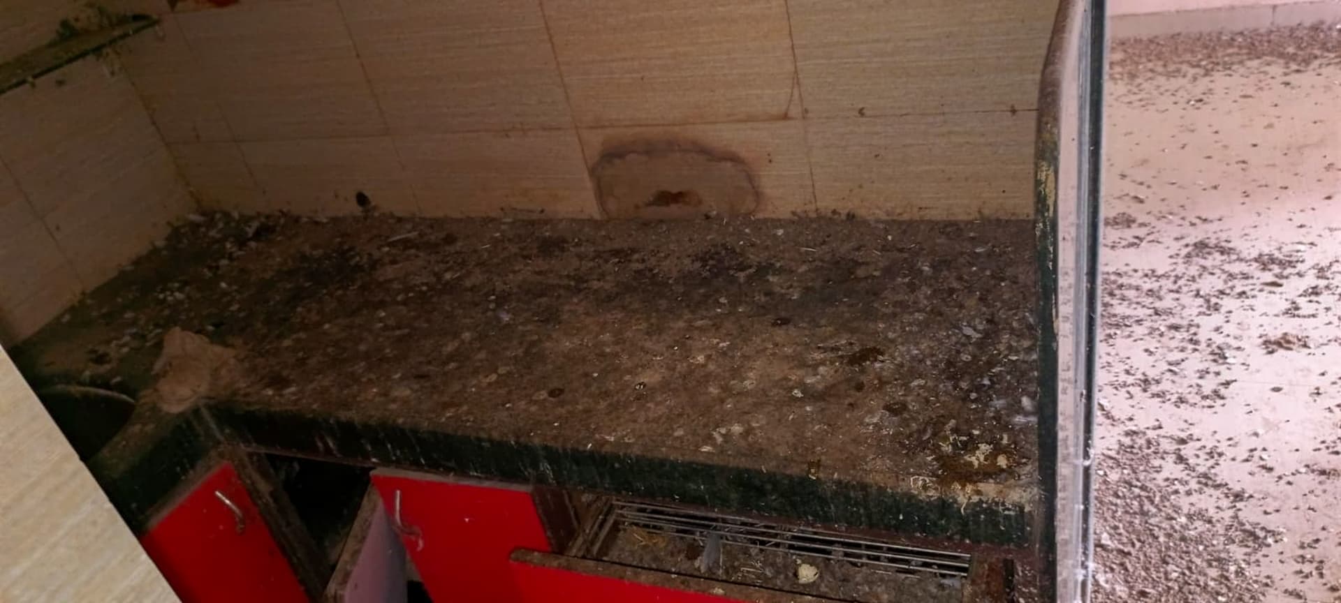 Property Photos 18