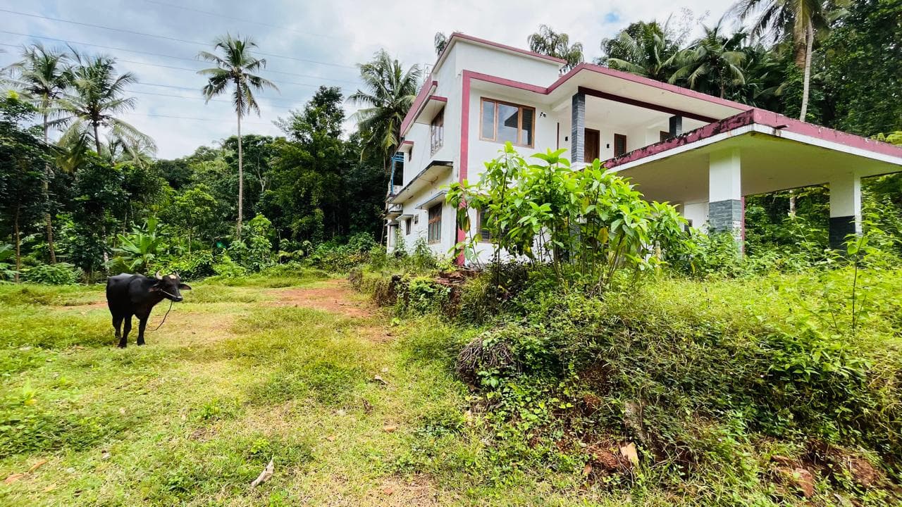 Property Photos 2