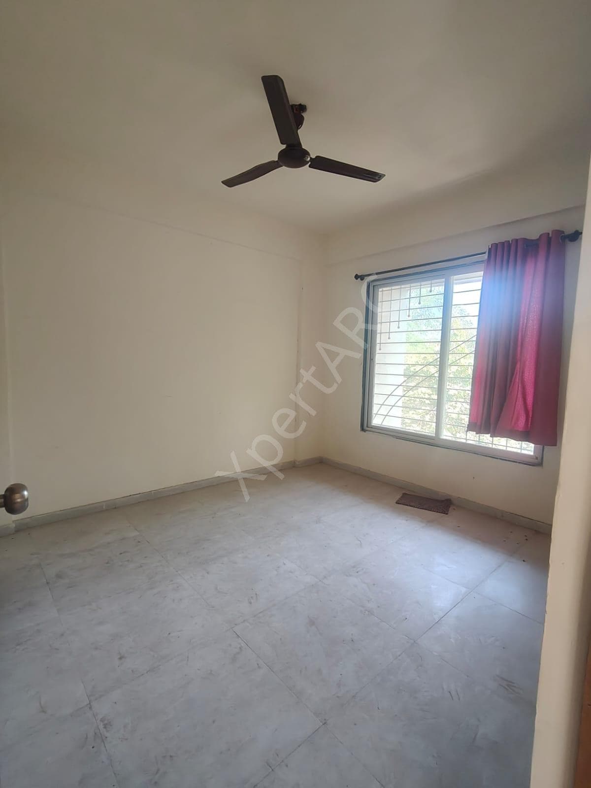 Property Photos 4