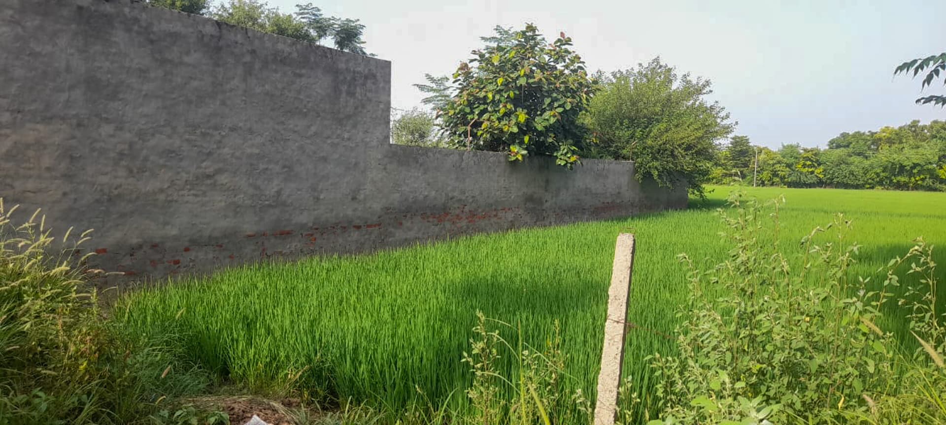 Property Photos 3
