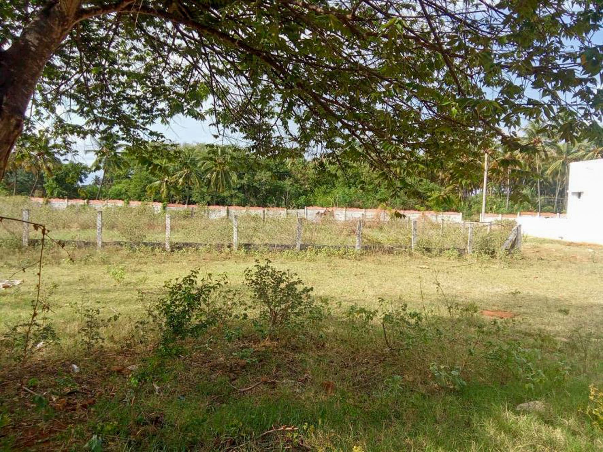 Property Photos 5